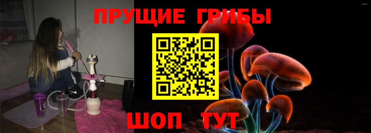 Псилоцибиновые грибы Psilocybe Назрань